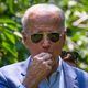 Image for article titled It's Time To Spark It Already, Biden